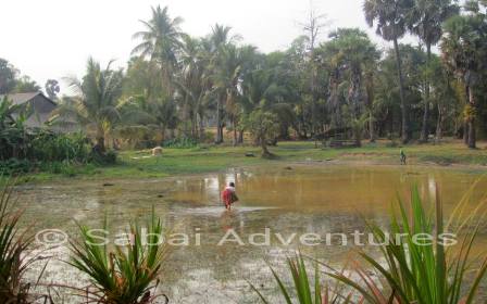 Cambodia countryside with Sabai Adventures
