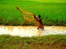 siem reap, cambodia, siem reap motorbike tours,cambodia motorbike tours, things to do in siem reap, floating villages cambodia, visit cambodia, siem reap jeep tours, cambodia jeep tours, jeep cambodia, siem reap tour, tours from siem reap, siem reap day trips, day tours from siem reap, visit siem reap, siem reap half day, kulen mountain, angkor wat, angkor thom, temple guides, cambodia adventure, siem reap activities, tours of angkor wat, angkor wat tours, cambodia temples, bike tour siem reap, siem reap countryside, what to do in siem reap, beantei srei, beng mealea temple, cambodia day tours, where to visit in siem reap, cambodia motorcycle, angkor tours, 