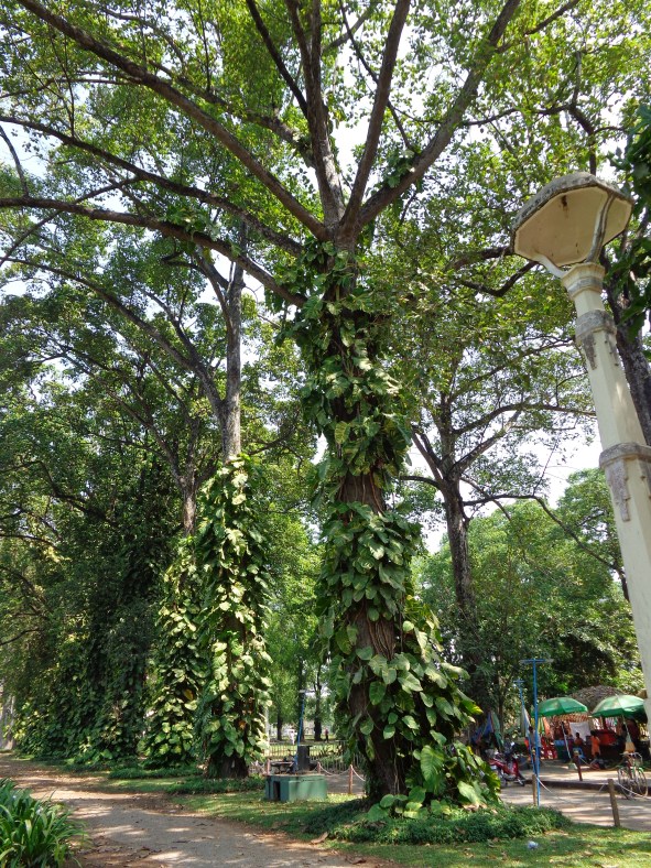 siem reap tour, cambodia, motorbike tours, moto, floating villages cambodia, visit cambodia, jeep tours, cambodia jeep tours, day trips, visit siem reap, siem reap half day, kulen mountain, angkor wat, angkor thom, temple guides, cambodia adventures, activities, tours of angkor wat, temples, bike tours, countryside, what to do in siem reap, beantei srei, beng mealea temple, where to visit, off the beaten path, motorcycle, angkor guides, grand small circuit