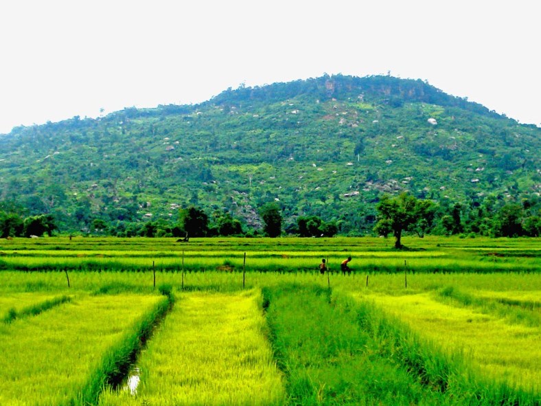 siem reap, cambodia, siem reap motorbike tours,cambodia motorbike tours, things to do in siem reap, floating villages cambodia, visit cambodia, siem reap jeep tours, cambodia jeep tours, jeep cambodia, siem reap tour, tours from siem reap, siem reap day trips, day tours from siem reap, visit siem reap, siem reap half day, kulen mountain, angkor wat, angkor thom, temple guides, cambodia adventure, siem reap activities, tours of angkor wat, angkor wat tours, cambodia temples, bike tour siem reap, siem reap countryside, what to do in siem reap, beantei srei, beng mealea temple, cambodia day tours, where to visit in siem reap, cambodia motorcycle, angkor tours,