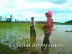 Adventures Cambodia Siem Reap activities tours motorbike jeep culture angkor temples guides tours