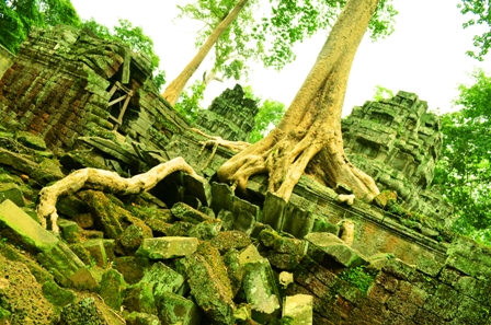 siem reap, cambodia, siem reap motorbike tours,cambodia motorbike tours, things to do in siem reap, floating villages cambodia, visit cambodia, siem reap jeep tours, cambodia jeep tours, jeep cambodia, siem reap tour, tours from siem reap, siem reap day trips, day tours from siem reap, visit siem reap, siem reap half day, kulen mountain, angkor wat, angkor thom, temple guides, cambodia adventure, siem reap activities, tours of angkor wat, angkor wat tours, cambodia temples, bike tour siem reap, siem reap countryside, what to do in siem reap, beantei srei, beng mealea temple, cambodia day tours, where to visit in siem reap, cambodia motorcycle, angkor tours,