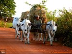 Adventures Cambodia Siem Reap activities tours motorbike jeep culture angkor temples guides tours