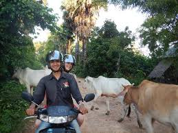 Adventures Cambodia Siem Reap activities tours motorbike jeep culture angkor temples guides tours