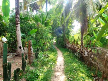 Walking trek hike eco tour