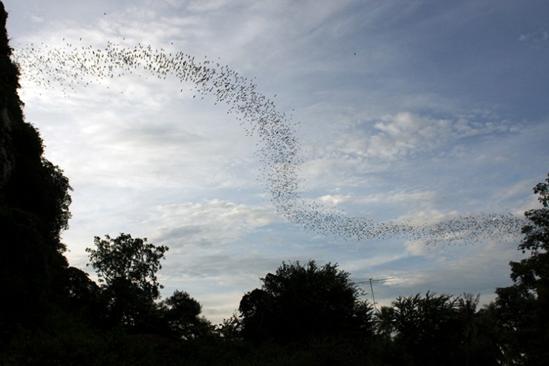siem reap, cambodia, siem reap motorbike tours,cambodia motorbike tours, things to do in siem reap, floating villages cambodia, visit cambodia, siem reap jeep tours, cambodia jeep tours, jeep cambodia, siem reap tour, tours from siem reap, siem reap day trips, day tours from siem reap, visit siem reap, siem reap half day, kulen mountain, angkor wat, angkor thom, temple guides, cambodia adventure, siem reap activities, tours of angkor wat, angkor wat tours, cambodia temples, bike tour siem reap, siem reap countryside, what to do in siem reap, beantei srei, beng mealea temple, cambodia day tours, where to visit in siem reap, cambodia motorcycle, angkor tours,