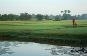siem reap, cambodia, siem reap motorbike tours,cambodia motorbike tours, things to do in siem reap, floating villages cambodia, visit cambodia, siem reap jeep tours, cambodia jeep tours, jeep cambodia, siem reap tour, tours from siem reap, siem reap day trips, day tours from siem reap, visit siem reap, siem reap half day, kulen mountain, angkor wat, angkor thom, temple guides, cambodia adventure, siem reap activities, tours of angkor wat, angkor wat tours, cambodia temples, bike tour siem reap, siem reap countryside, what to do in siem reap, beantei srei, beng mealea temple, cambodia day tours, where to visit in siem reap, cambodia motorcycle, angkor tours,