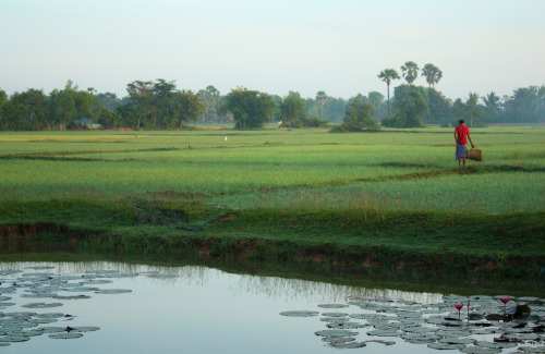 siem reap, cambodia, siem reap motorbike tours,cambodia motorbike tours, things to do in siem reap, floating villages cambodia, visit cambodia, siem reap jeep tours, cambodia jeep tours, jeep cambodia, siem reap tour, tours from siem reap, siem reap day trips, day tours from siem reap, visit siem reap, siem reap half day, kulen mountain, angkor wat, angkor thom, temple guides, cambodia adventure, siem reap activities, tours of angkor wat, angkor wat tours, cambodia temples, bike tour siem reap, siem reap countryside, what to do in siem reap, beantei srei, beng mealea temple, cambodia day tours, where to visit in siem reap, cambodia motorcycle, angkor tours,